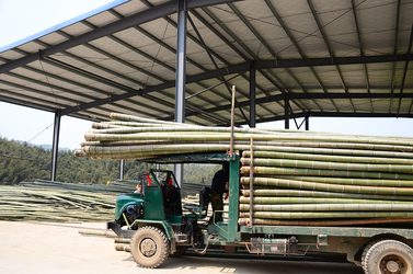 Shenzhen Magic Bamboo Industrial Co., Ltd. linea di produzione del fabbricante